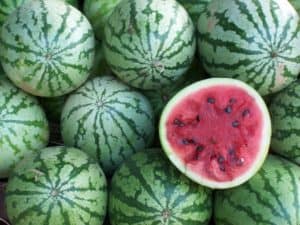 watermelons-by-morguefile