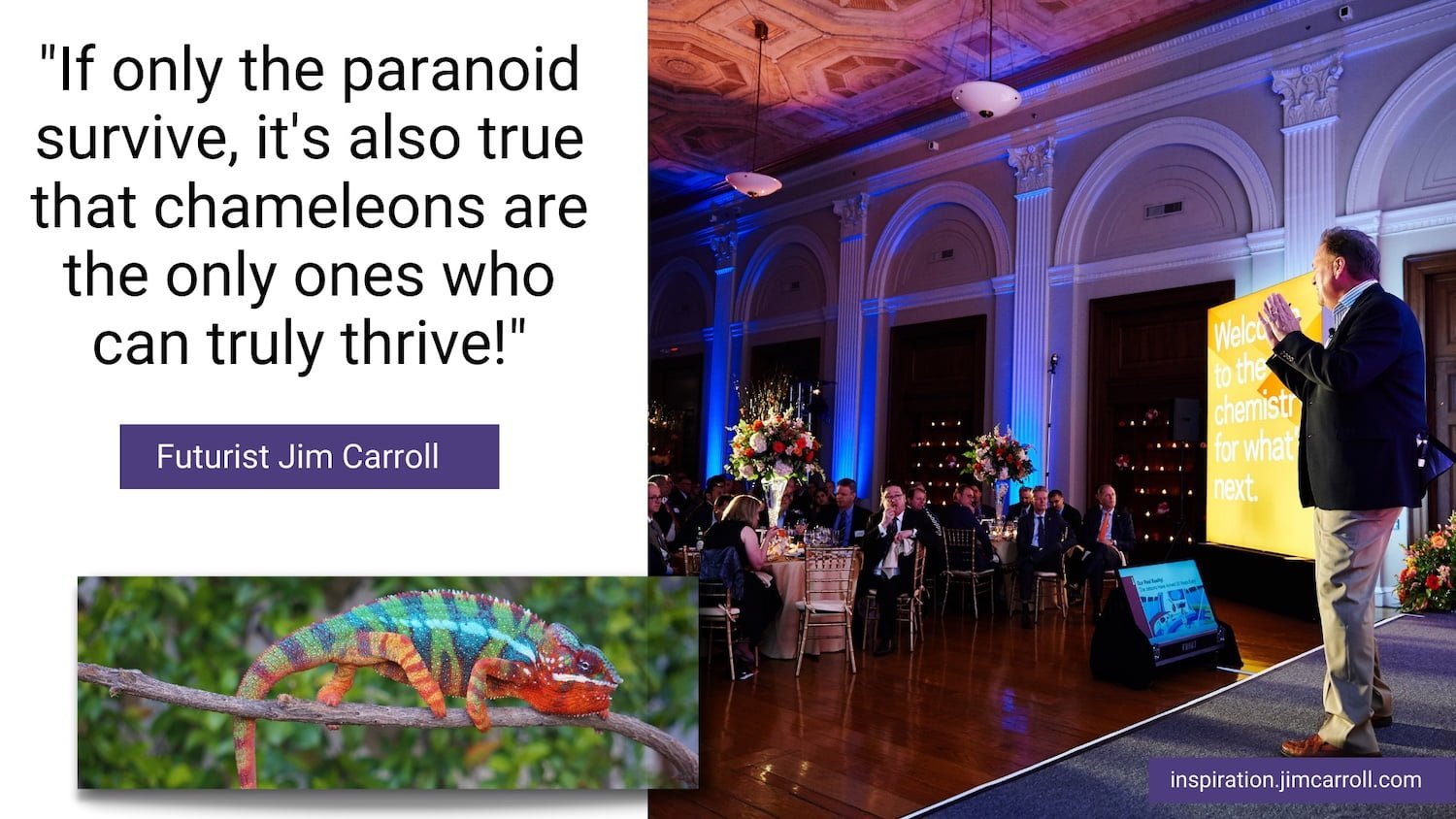Daily Inspiration: "If only the paranoid survive, it's also true that it's the chameleons who will thrive!"